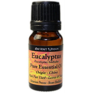 Eucalyptus Essential Oil from My Holistic Store